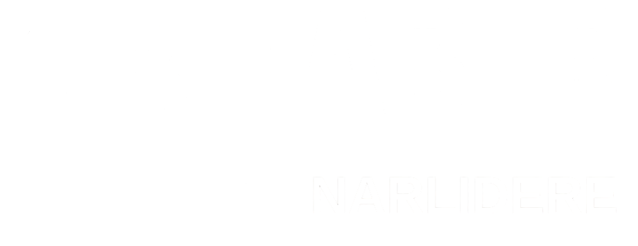 theme-sticky-logo-alt