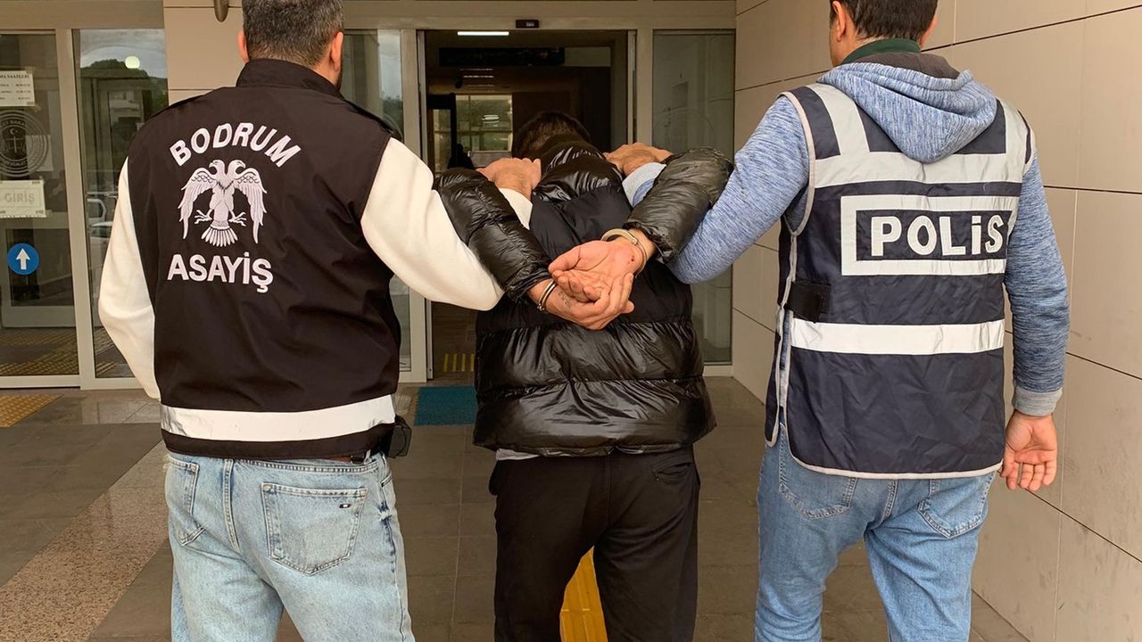 Muğla’da oto fareleri yaklandı!