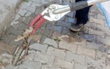 Evde yılan alarmı: İtfaiye devreye girdi Evde yılan alarmı: İtfaiye devreye girdi